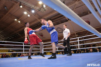 Финал турнира по боксу "Гран-при Тулы", Фото: 201