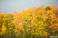 Золотая осень в Тульской области, Фото: 39