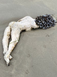 Манекен с моллюсками, Фото: 10