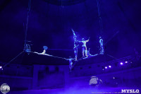 Цирк на воде «Остров сокровищ» в Туле: Здесь невозможное становится возможным, Фото: 11