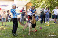 «Школодром-2025», Фото: 244