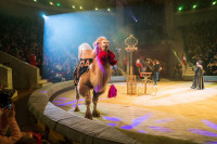 "Чудеса под Новый год" в Тульском цирке, Фото: 63