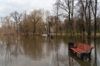 В Туле затопило Баташевский сад, Фото: 10