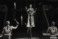 «Шоу Слонов» в Тульском цирке, Фото: 31