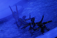В Тульском цирке прошла премьера аква-шоу, Фото: 49