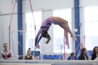 Всероссийские соревнования по спортивной гимнастике, Фото: 50