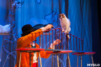 Театр кошек в ГКЗ, Фото: 37