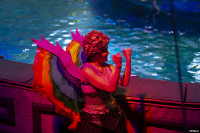 В Тулу приехал цирковой мюзикл на воде «Одиссея», Фото: 20