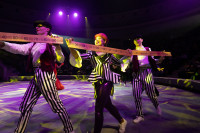Успейте посмотреть шоу «Новогодние приключения домовенка Кузи» в Тульском цирке, Фото: 121