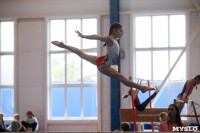 Соревнования по художественной гимнастике, Фото: 92