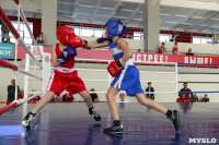 Первенство Тульской области по боксу, Фото: 47