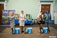 Выставка собак в Туле, Фото: 109