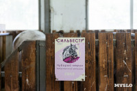 Конный клуб Рыжий пони , Фото: 45