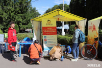 В Центральном парке Тулы стартовал семейный фестиваль «Школодром-2022», Фото: 32