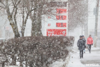 Мартовский снегопад в Туле, Фото: 8