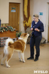 Выставка собак в Туле 29.02, Фото: 17