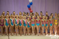 Всероссийские соревнования по художественной гимнастике на призы Посевиной, Фото: 10