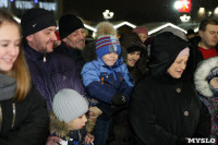 Открытие главной ёлки на площади Ленина, Фото: 19