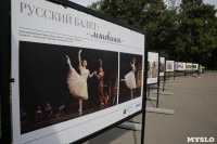 В Центральном парке Тулы открылась фотовыставка «Русский балет: мгновения», Фото: 4