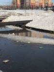 В Туле по соседству с Ледовым дворцом загрязняют реку Рогожня, Фото: 2