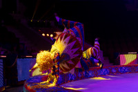 Цирковое шоу 5 континентов , Фото: 31