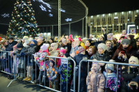 Глава администрации Тулы Илья Беспалов: «Загадывайте желания под нашей новой красавицей-ёлкой», Фото: 17