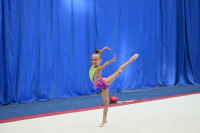 Соревнования по художественной гимнастике, Фото: 9