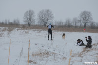 Гонки на собачьих упряжках «Большой тур» на Куликовом поле, Фото: 24