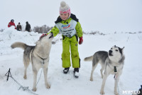 Праздник северных собак на Куликовом поле , Фото: 26