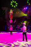 "Чудеса под Новый год" в Тульском цирке, Фото: 18