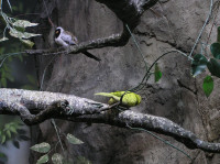 , Фото: 30