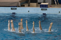 первенство цфо по синхронному плаванию, Фото: 58