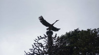 , Фото: 2