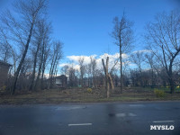 В сквере на улице Приупской вырубают тополя: в администрации рассказали, зачем, Фото: 2