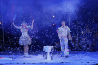 В Тульском цирке прошла премьера аква-шоу, Фото: 52