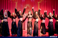 В Туле показали шоу восточных танцев, Фото: 135