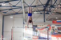Мужская спортивная гимнастика в Туле, Фото: 9