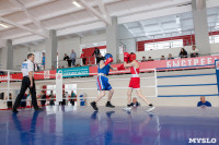 В Тульской области проходит областное первенство по боксу, Фото: 24
