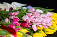 «Цветочный патруль — 2026», Фото: 69