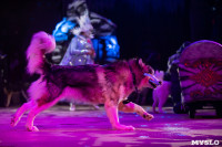 Шоу фонтанов «13 месяцев»: успей увидеть уникальную программу в Тульском цирке, Фото: 141
