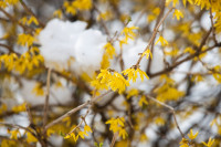 , Фото: 33