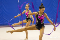 В Туле стартовало первенство Центрального федерального округа по художественной гимнастике, Фото: 97