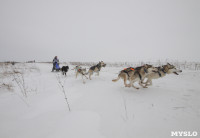 Гонки на собачьих упряжках «Большой тур» на Куликовом поле, Фото: 112