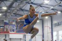 Всероссийские соревнования по спортивной гимнастике, Фото: 79