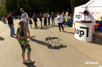 «Школодром-2025», Фото: 396