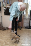 Юная дрессировщица из Тулы научила кролика 20 командам и попала в Книгу рекордов России, Фото: 13