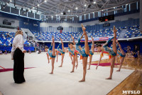 Соревнования по эстетической гимнастике «Кубок Роксэт», Фото: 166