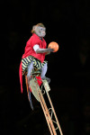 Цирк «Вива, Зорро!» в Туле , Фото: 34
