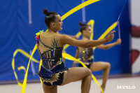 В Туле стартовало первенство Центрального федерального округа по художественной гимнастике, Фото: 43