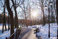 Морозное утро в Платоновском парке, Фото: 5